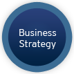 Business Strategy Consulting